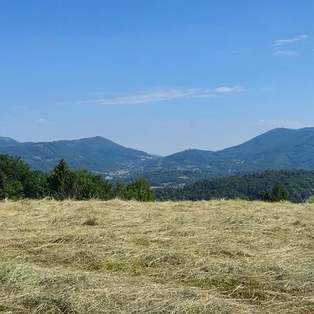 Vista *